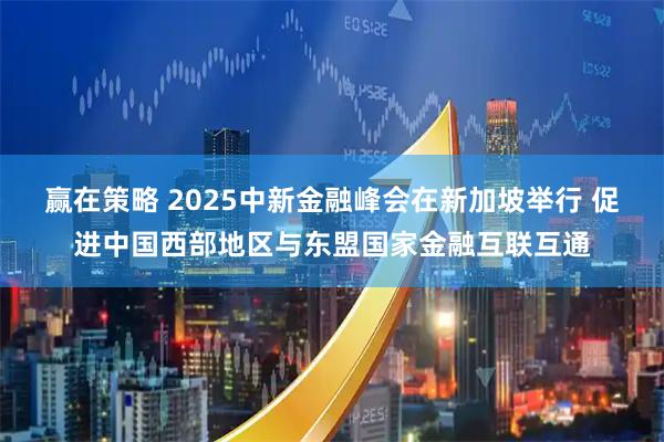 赢在策略 2025中新金融峰会在新加坡举行 促进中国西部地区与东盟国家金融互联互通
