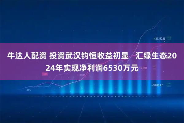 牛达人配资 投资武汉钧恒收益初显   汇绿生态2024年实现净利润6530万元