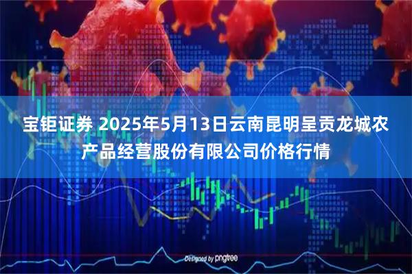 宝钜证券 2025年5月13日云南昆明呈贡龙城农产品经营股份有限公司价格行情