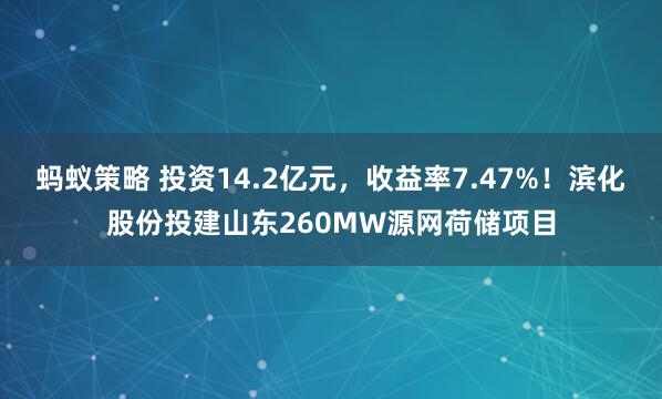 蚂蚁策略 投资14.2亿元，收益率7.47%！滨化股份投建山东260MW源网荷储项目