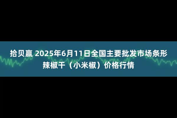 拾贝赢 2025年6月11日全国主要批发市场条形辣椒干（小米椒）价格行情