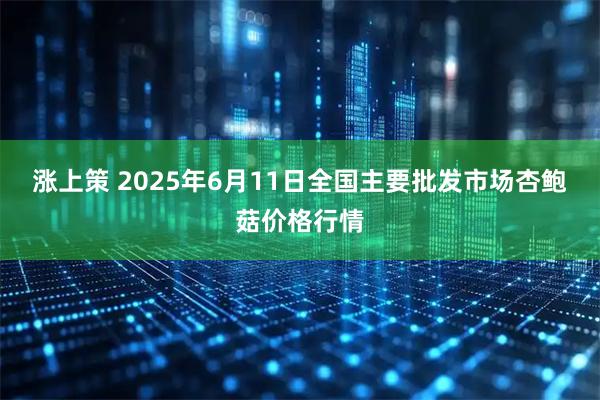 涨上策 2025年6月11日全国主要批发市场杏鲍菇价格行情