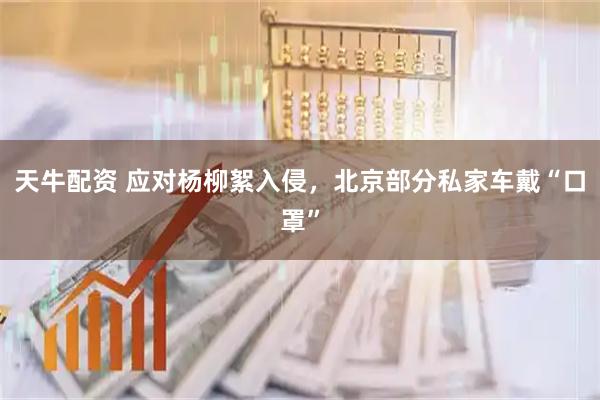 天牛配资 应对杨柳絮入侵，北京部分私家车戴“口罩”