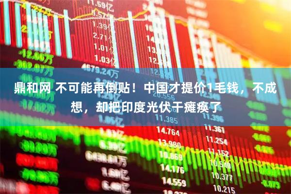 鼎和网 不可能再倒贴！中国才提价1毛钱，不成想，却把印度光伏干瘫痪了